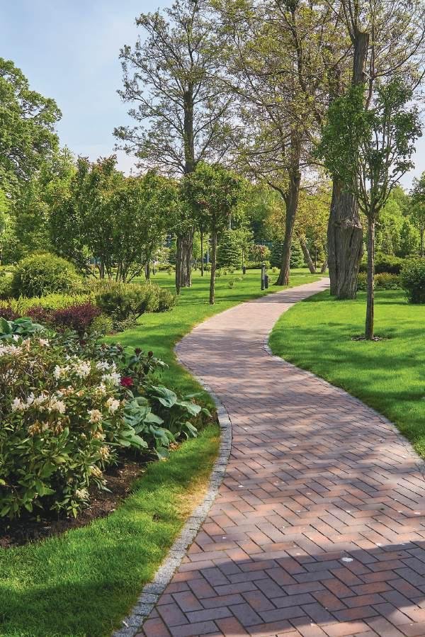 Biophilic wellness gardens